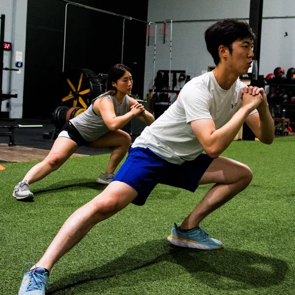 DB Full Body S&C V1