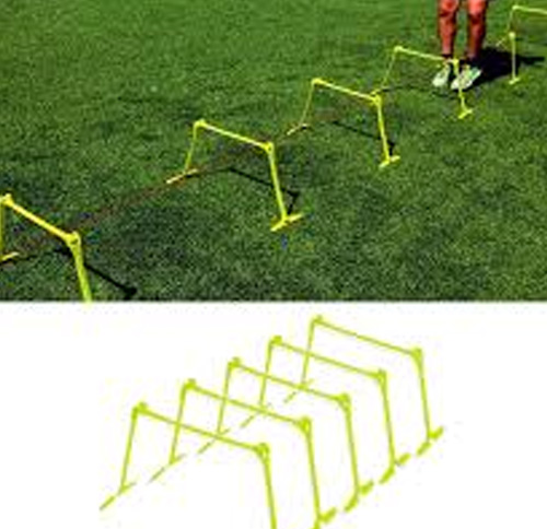 Mini Hurdles