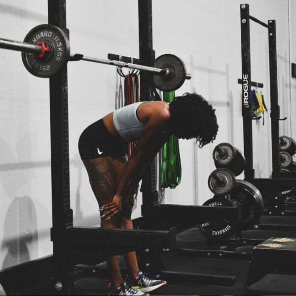 Squats, Pulls, & Presses V1